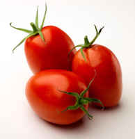 Roma-tomato-1