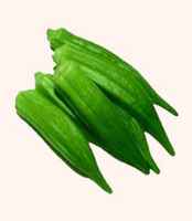 Okra1