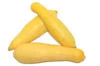 Squash_yellow12