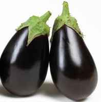 American_eggplant